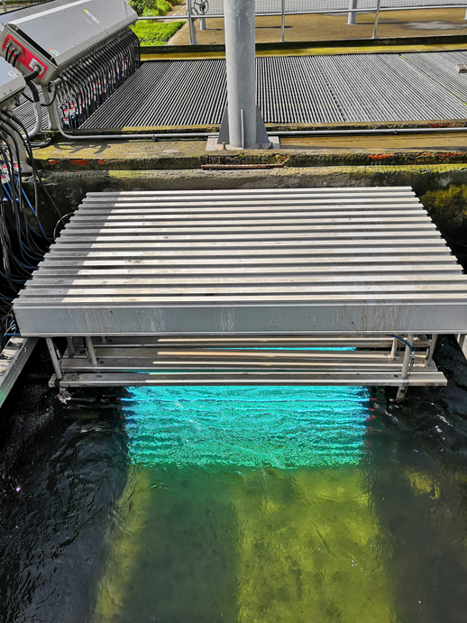 1574406595123144.jpg 1-1.jpg